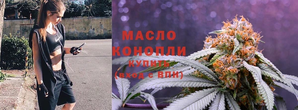 гидропоника Алзамай