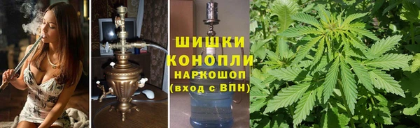 гидропоника Алзамай