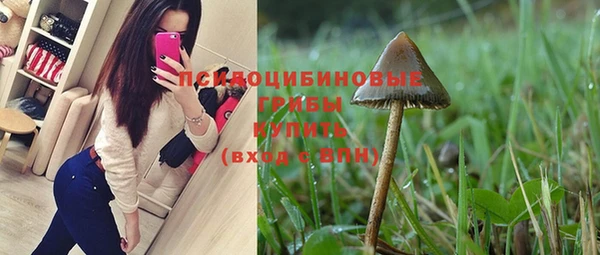 гашик Сафоново
