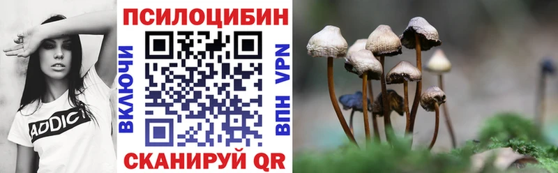 Псилоцибиновые грибы Psilocybe  закладки  Задонск 
